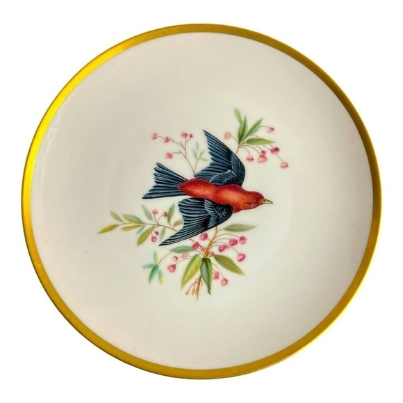 Vintage Bavarian Bird Motif Bone China Salad/Dessert Plate - Picture 1 of 4